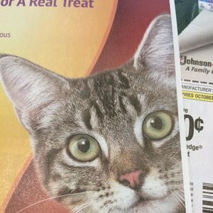 Meet your Posher, Mary ellen